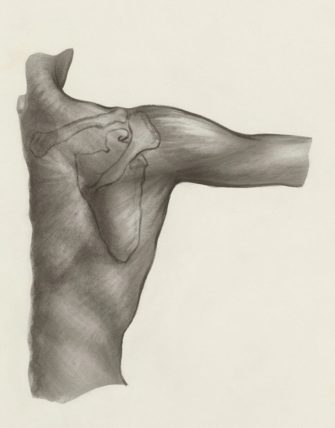 7 Effective Home Remedies for Shoulder Pain Today (And Why Most Don’t Last)