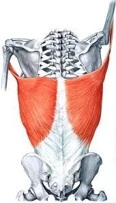 Image courtesy of CoreWalking