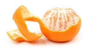 WE'RE ALL JUST ORANGES