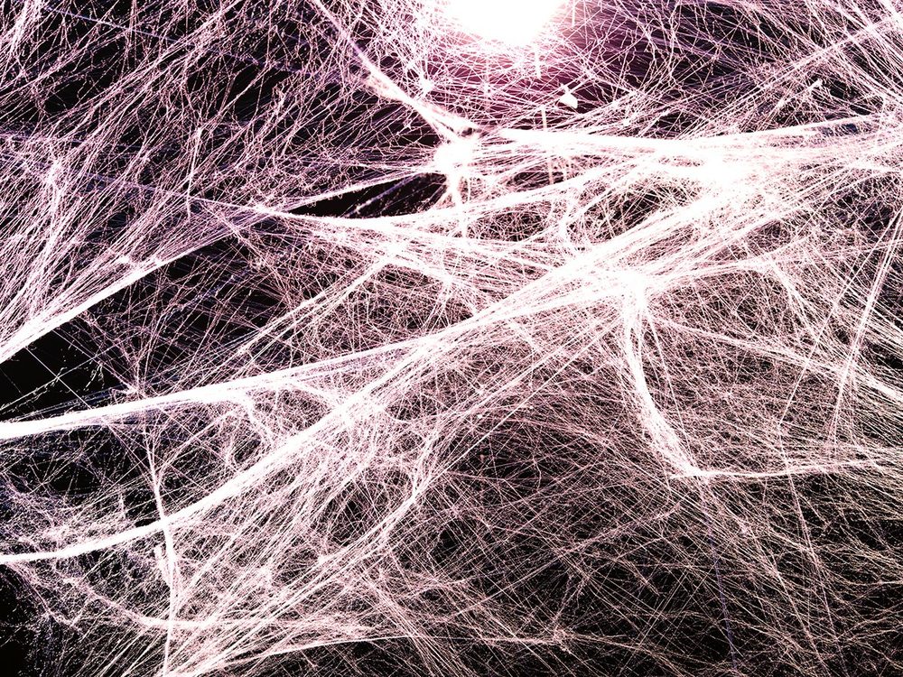Fascia pain specialist brisbane — Functional Patterns Brisbane